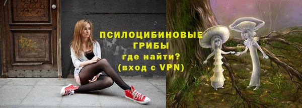 ПСИЛОЦИБИНОВЫЕ ГРИБЫ Нефтекумск