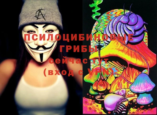 гидропоника Нея