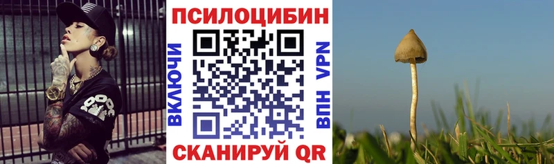 blacksprut онион  как найти   Юрьев-Польский  Галлюциногенные грибы Psilocybe 